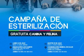 ANUNCIAN NUEVAS FECHAS PARA ESTERILIZACIONES CANINAS Y FELINAS