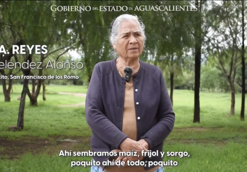 Estos son los beneficios que traen las lluvias para el campo de Aguascalientes 🌽🥕🚜