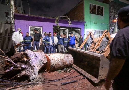 Siempre listos para servir 🫡  Orgullo, entrega y corazón: eso son nuestros #HéroesDeCasa. 💪🏻