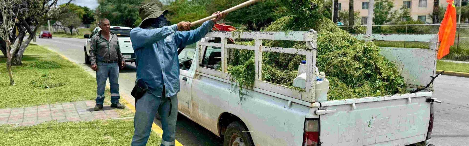 REFUERZA MUNICIPIO MANTENIMIENTO DE CAMELLÓN CENTRAL DE PRIMER ANILLO