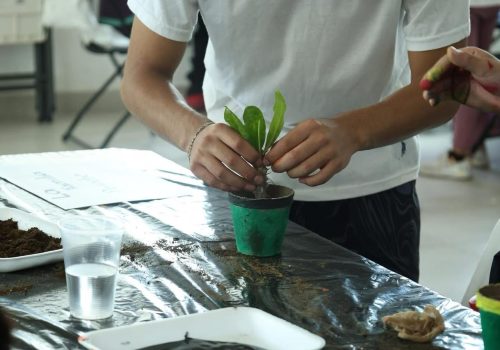 🧪👧👦 ¡La ciencia y la diversión ya comenzaron en Casa Ciencia!