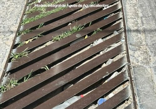 🚫🗑️ ¡No tires basura en los caimanes ni alcantarillas! 🌧️💧
