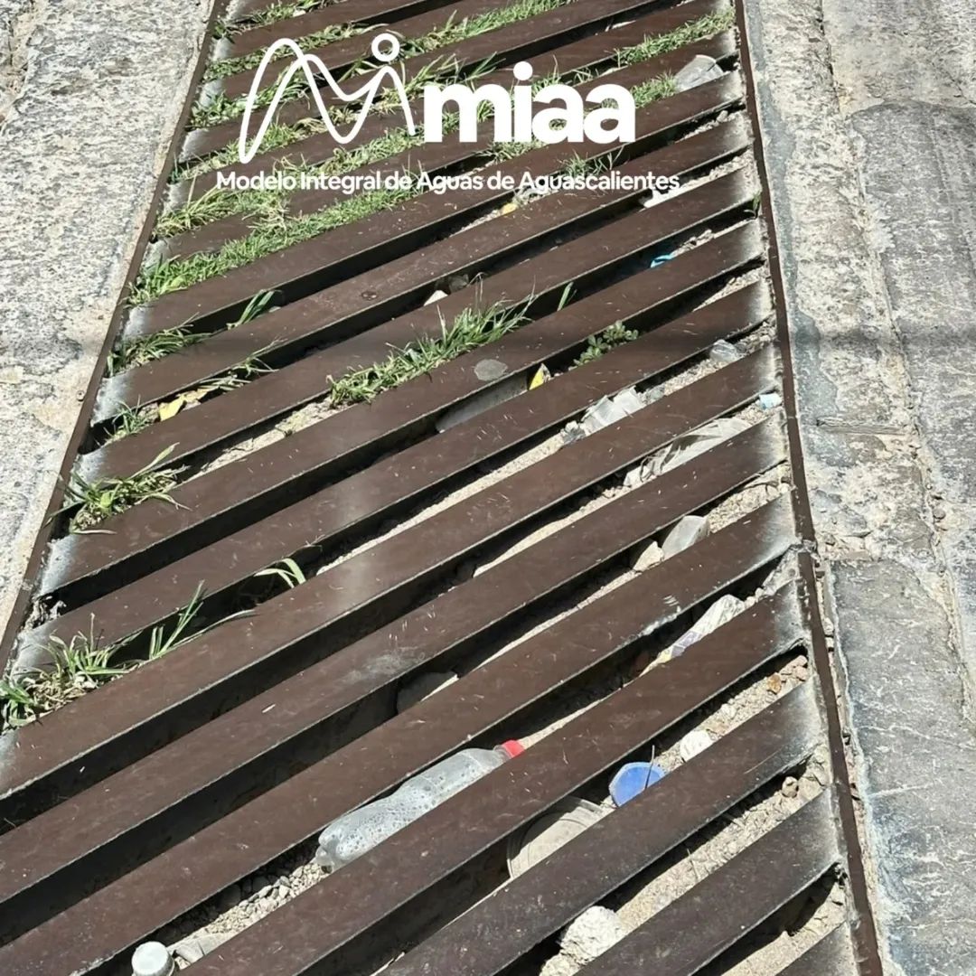 🚫🗑️ ¡No tires basura en los caimanes ni alcantarillas! 🌧️💧