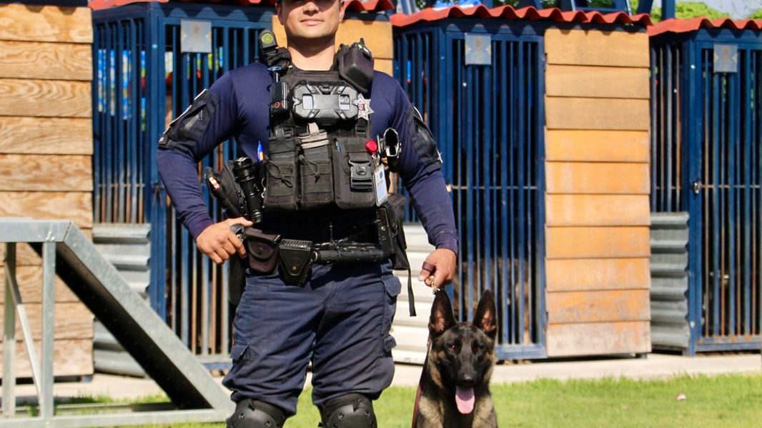 GRUPO ESPECIAL CANINO DE LA SECRETARÍA DE SEGURIDAD PÚBLICA DEL ESTADO DE AGUASCALIENTES RECIBE ENTRENAMIENTO INTERNACIONAL
