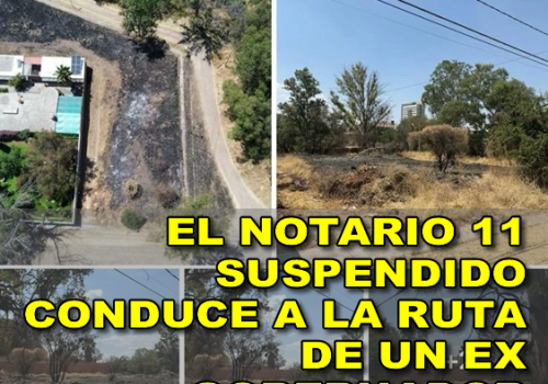EL NOTARIO 11 SUSPENDIDO CONDUCE A LA RUTA DE UN EX GOBERNADOR
