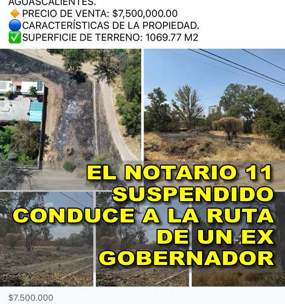 EL NOTARIO 11 SUSPENDIDO CONDUCE A LA RUTA DE UN EX GOBERNADOR