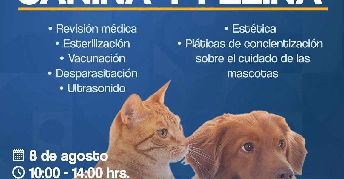 ¡El bienestar de tus mascotas también es prioridad! 🐾