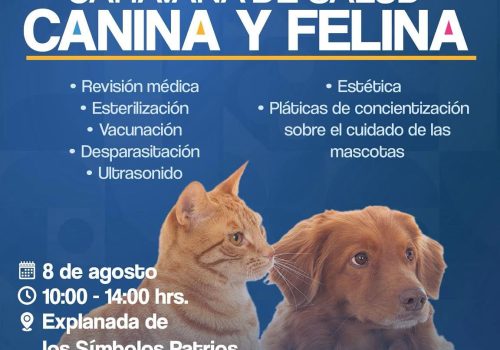 ¡El bienestar de tus mascotas también es prioridad! 🐾