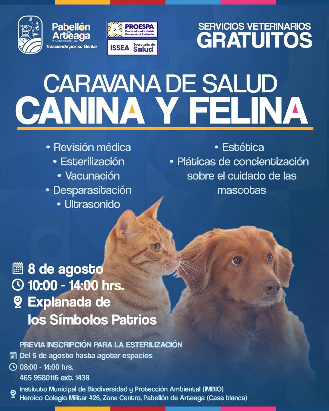 ¡El bienestar de tus mascotas también es prioridad! 🐾