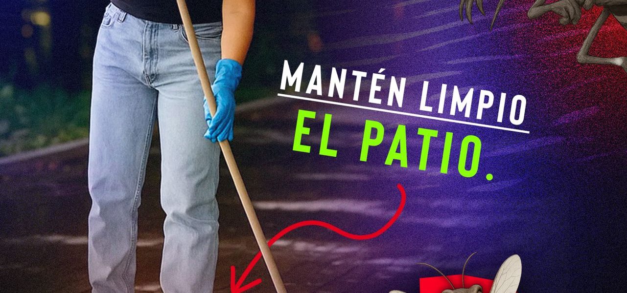 Desde casa podemos hacer la diferencia y prevenir el dengue.