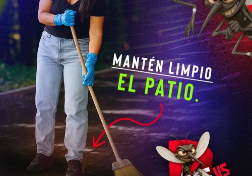 Desde casa podemos hacer la diferencia y prevenir el dengue.