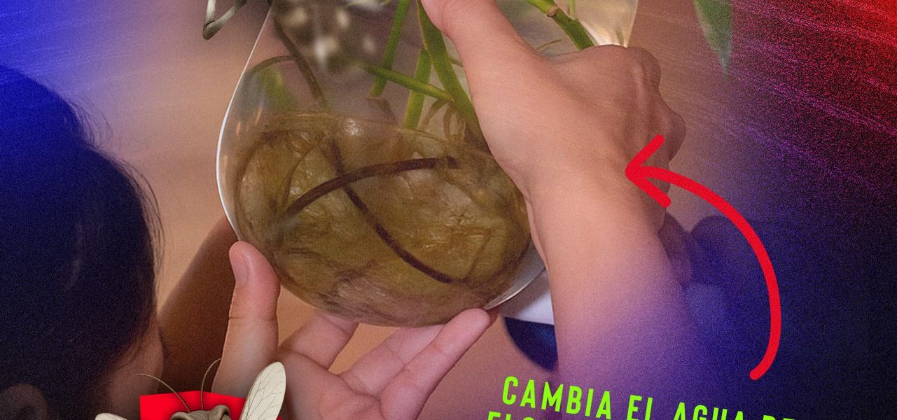 Desde casa podemos hacer la diferencia y prevenir el dengue.