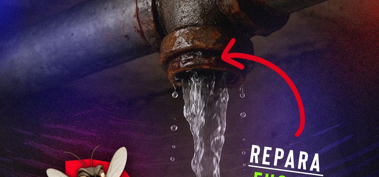 Desde casa podemos hacer la diferencia y prevenir el dengue.