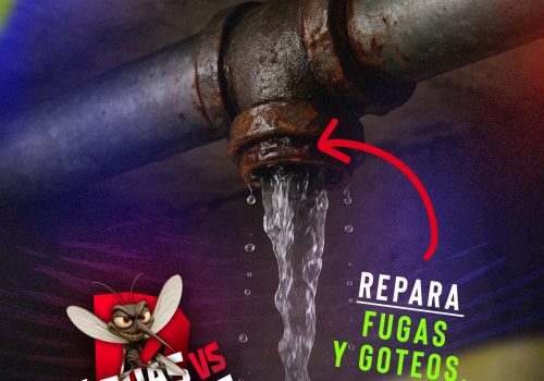 Desde casa podemos hacer la diferencia y prevenir el dengue.