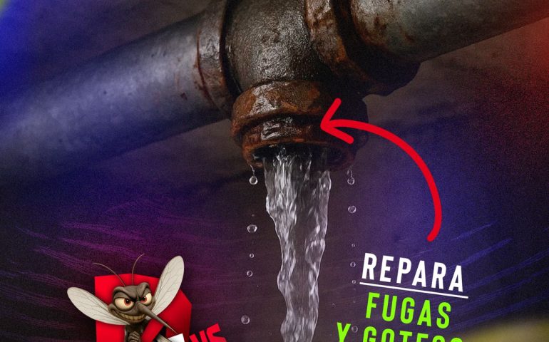 Desde casa podemos hacer la diferencia y prevenir el dengue.
