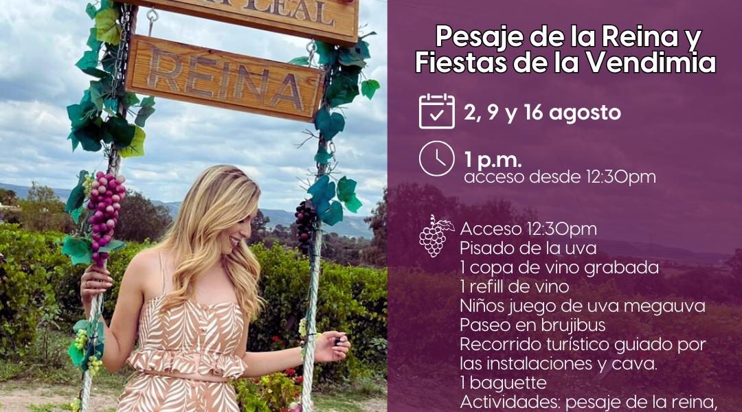 🍇✨ ¡Vive la magia de la vendimia en Viñedos Casa Leal en Jesús María!