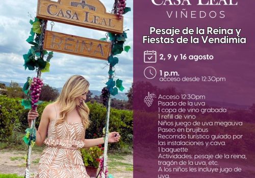 🍇✨ ¡Vive la magia de la vendimia en Viñedos Casa Leal en Jesús María!