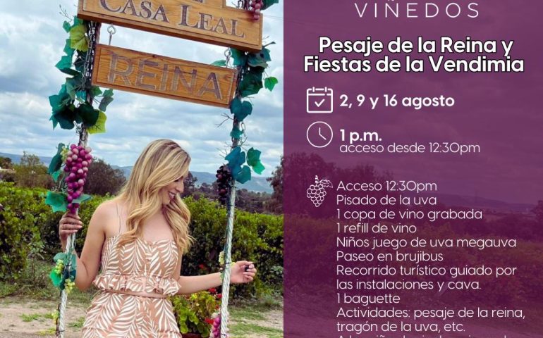 🍇✨ ¡Vive la magia de la vendimia en Viñedos Casa Leal en Jesús María!