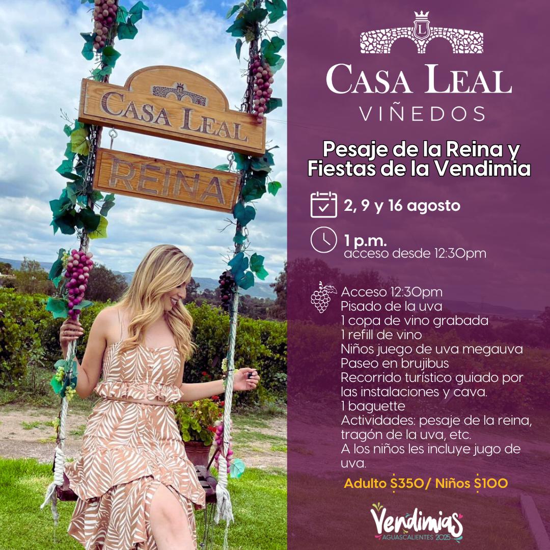🍇✨ ¡Vive la magia de la vendimia en Viñedos Casa Leal en Jesús María!