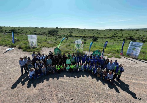 REALIZA MUNICIPIO MEGA REFORESTACIÓN EN EL ÁREA NATURAL PROTEGIDA BOSQUE DE COBOS