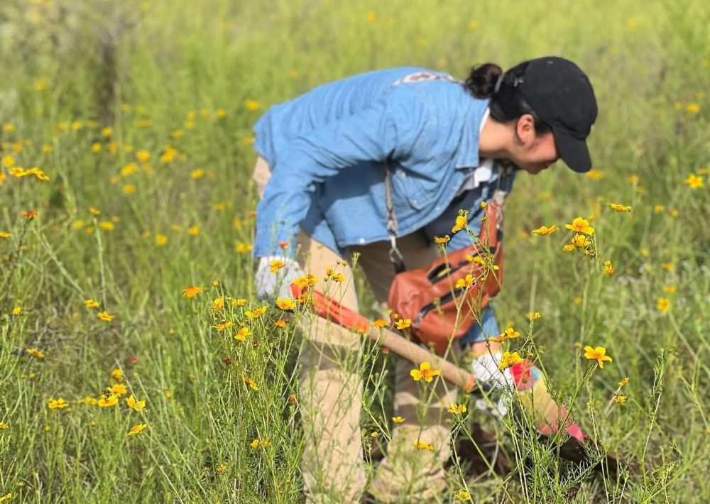 SECRETARÍA DE MEDIO AMBIENTE Y CIUDADANÍA UNEN ESFUERZOS PARA REFORESTAR EL BOSQUE DE COBOS-PARGA