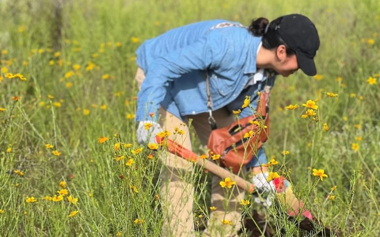 SECRETARÍA DE MEDIO AMBIENTE Y CIUDADANÍA UNEN ESFUERZOS PARA REFORESTAR EL BOSQUE DE COBOS-PARGA
