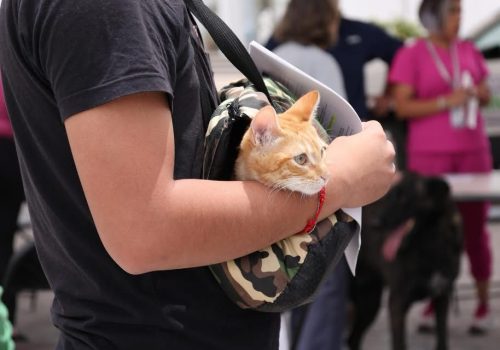 🐾 ¡Por el bienestar de nuestras mascotas!