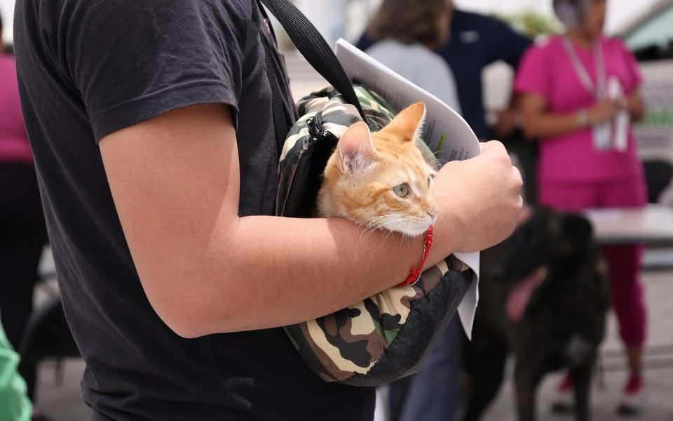 🐾 ¡Por el bienestar de nuestras mascotas!