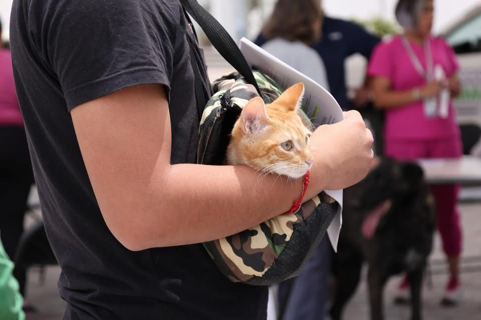 🐾 ¡Por el bienestar de nuestras mascotas!