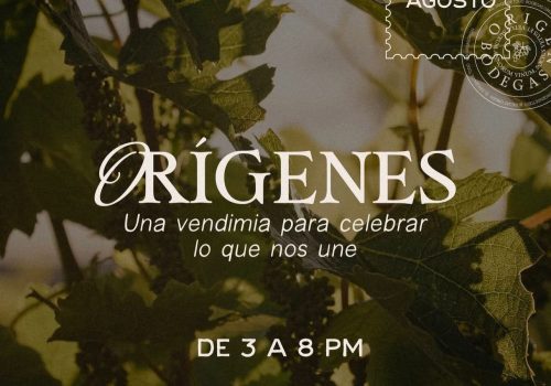 🏡 Lucero Espinoza estuvo presente en la segunda sesión ordinaria del Consejo Consultivo, un espacio en el que empresarios, cámaras y representantes municipales compartieron avances y propuestas en torno a la vivienda, un tema tan sensible y de gran demanda para las familias de Aguascalientes.