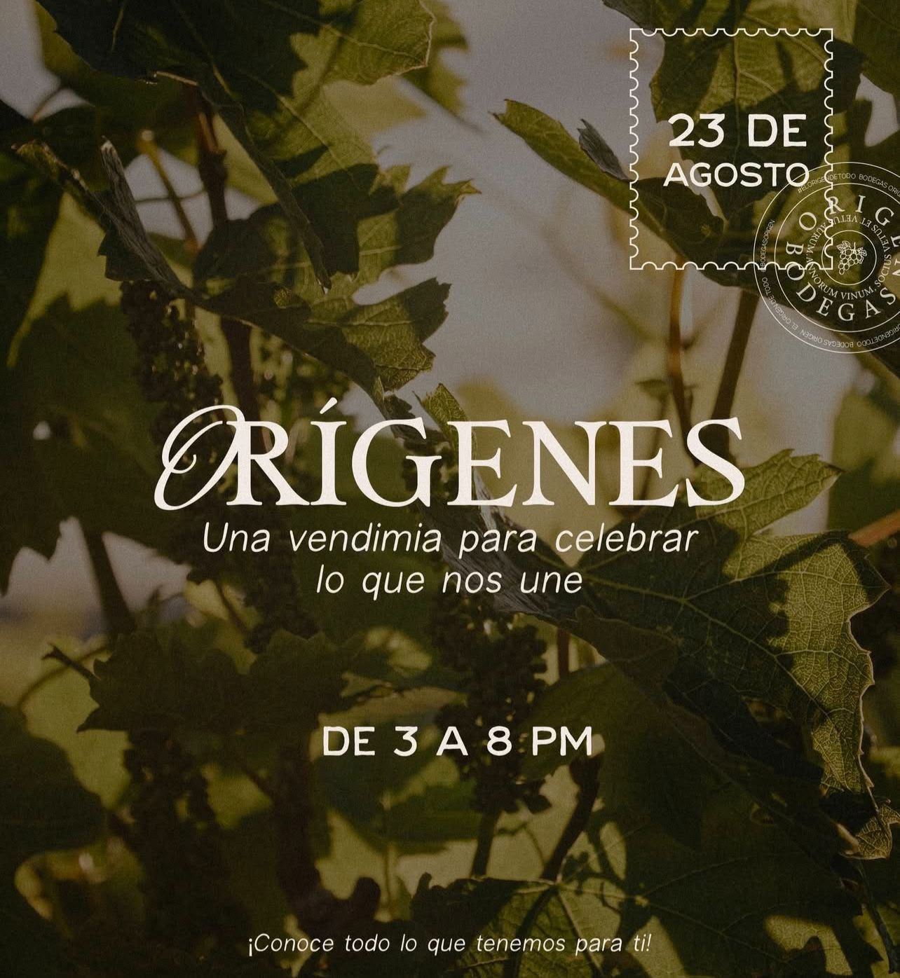 🏡 Lucero Espinoza estuvo presente en la segunda sesión ordinaria del Consejo Consultivo, un espacio en el que empresarios, cámaras y representantes municipales compartieron avances y propuestas en torno a la vivienda, un tema tan sensible y de gran demanda para las familias de Aguascalientes.