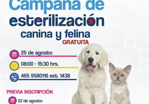 🐾✨ ¡Cuidemos juntos a nuestras mascotas!