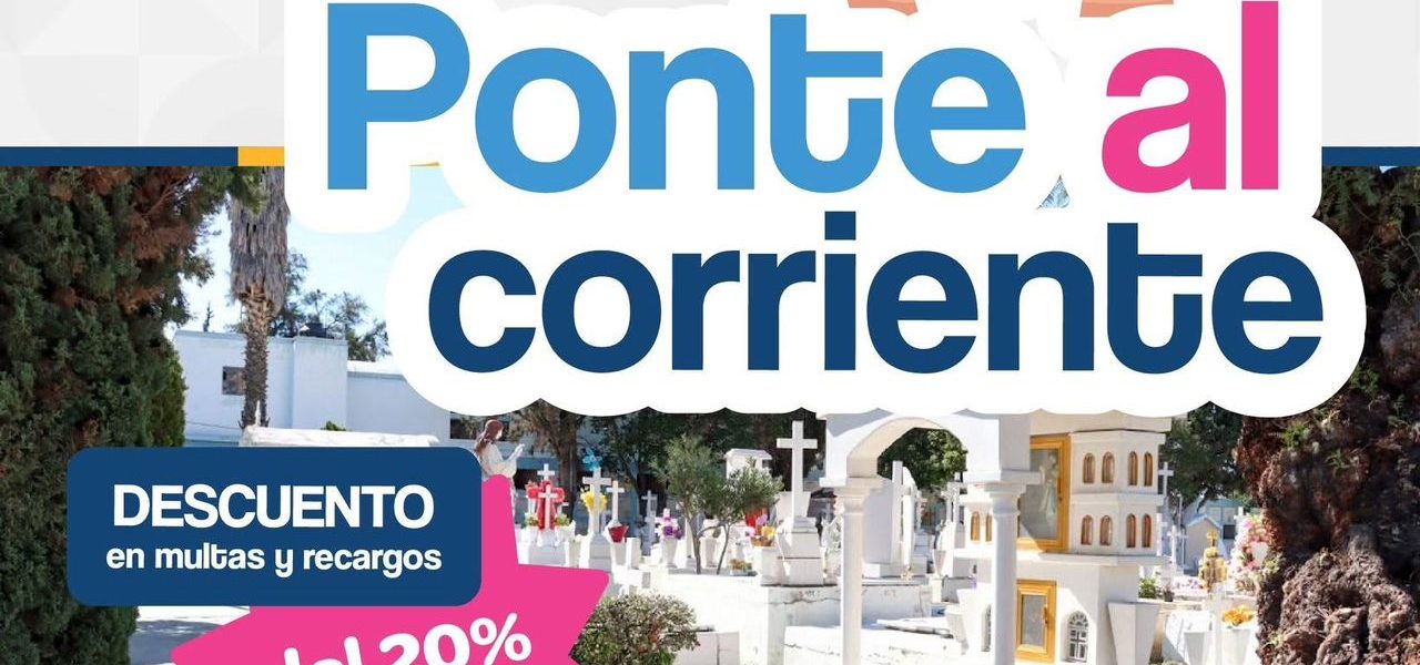 🕊️ ¡Ponte al corriente!