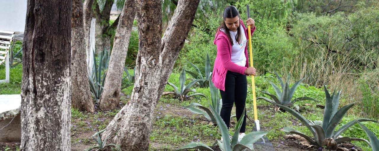 MÁS DE 14 MIL FAMILIAS Y SUS COMUNIDADES SE HAN VISTO BENEFICIADAS CON EL PROGRAMA DE EMPLEO TEMPORAL