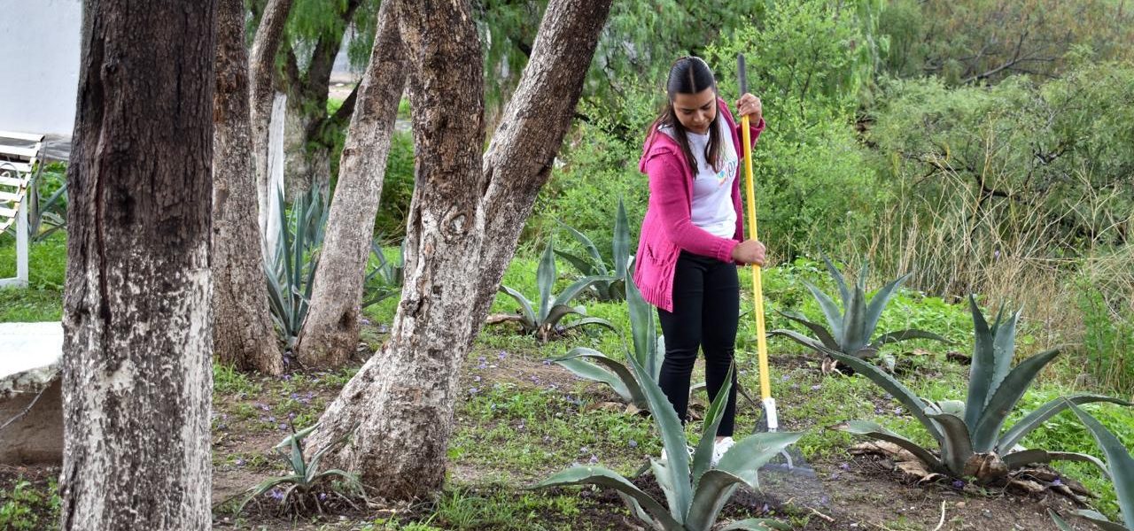 MÁS DE 14 MIL FAMILIAS Y SUS COMUNIDADES SE HAN VISTO BENEFICIADAS CON EL PROGRAMA DE EMPLEO TEMPORAL