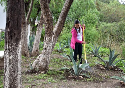 MÁS DE 14 MIL FAMILIAS Y SUS COMUNIDADES SE HAN VISTO BENEFICIADAS CON EL PROGRAMA DE EMPLEO TEMPORAL