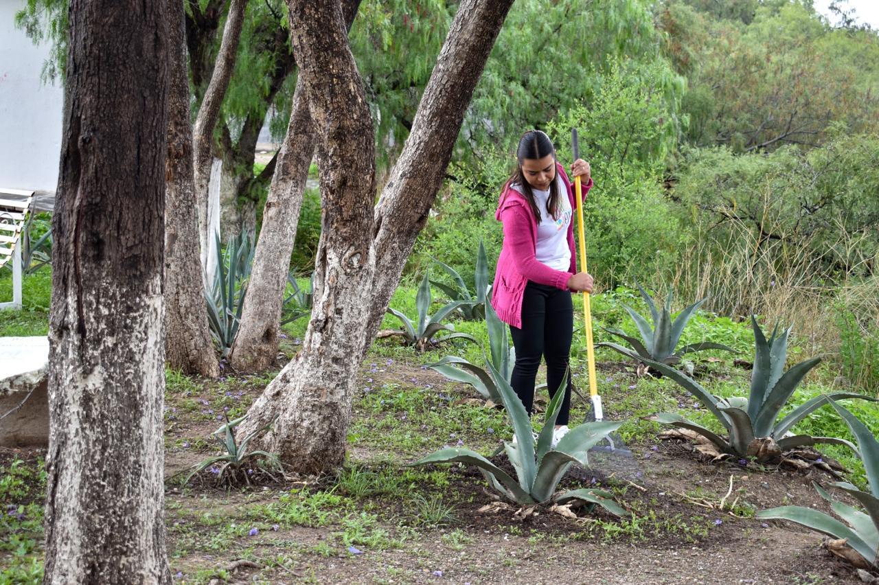 MÁS DE 14 MIL FAMILIAS Y SUS COMUNIDADES SE HAN VISTO BENEFICIADAS CON EL PROGRAMA DE EMPLEO TEMPORAL