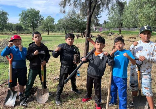 🌳✨ En el Parque de Chaneques se llevó a cabo una jornada de reforestación en la que se plantaron 300 mezquites