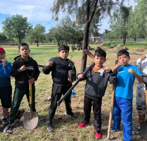 🌳✨ En el Parque de Chaneques se llevó a cabo una jornada de reforestación en la que se plantaron 300 mezquites
