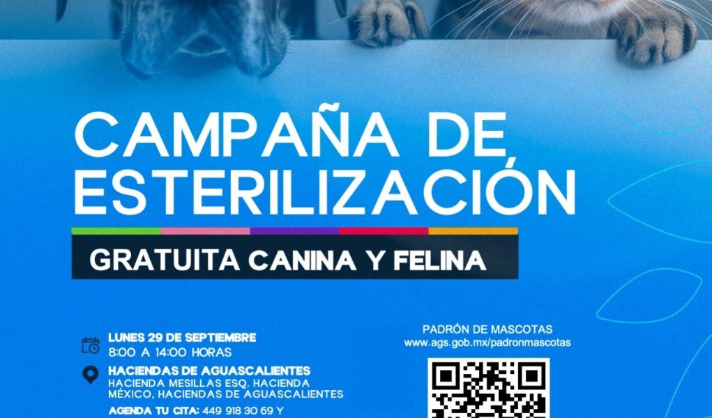 NUEVA JORNADA DE ESTERILIZACIONES DE MASCOTAS EN COORDINACIÓN CON EL ISSEA