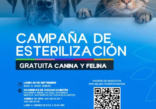 NUEVA JORNADA DE ESTERILIZACIONES DE MASCOTAS EN COORDINACIÓN CON EL ISSEA