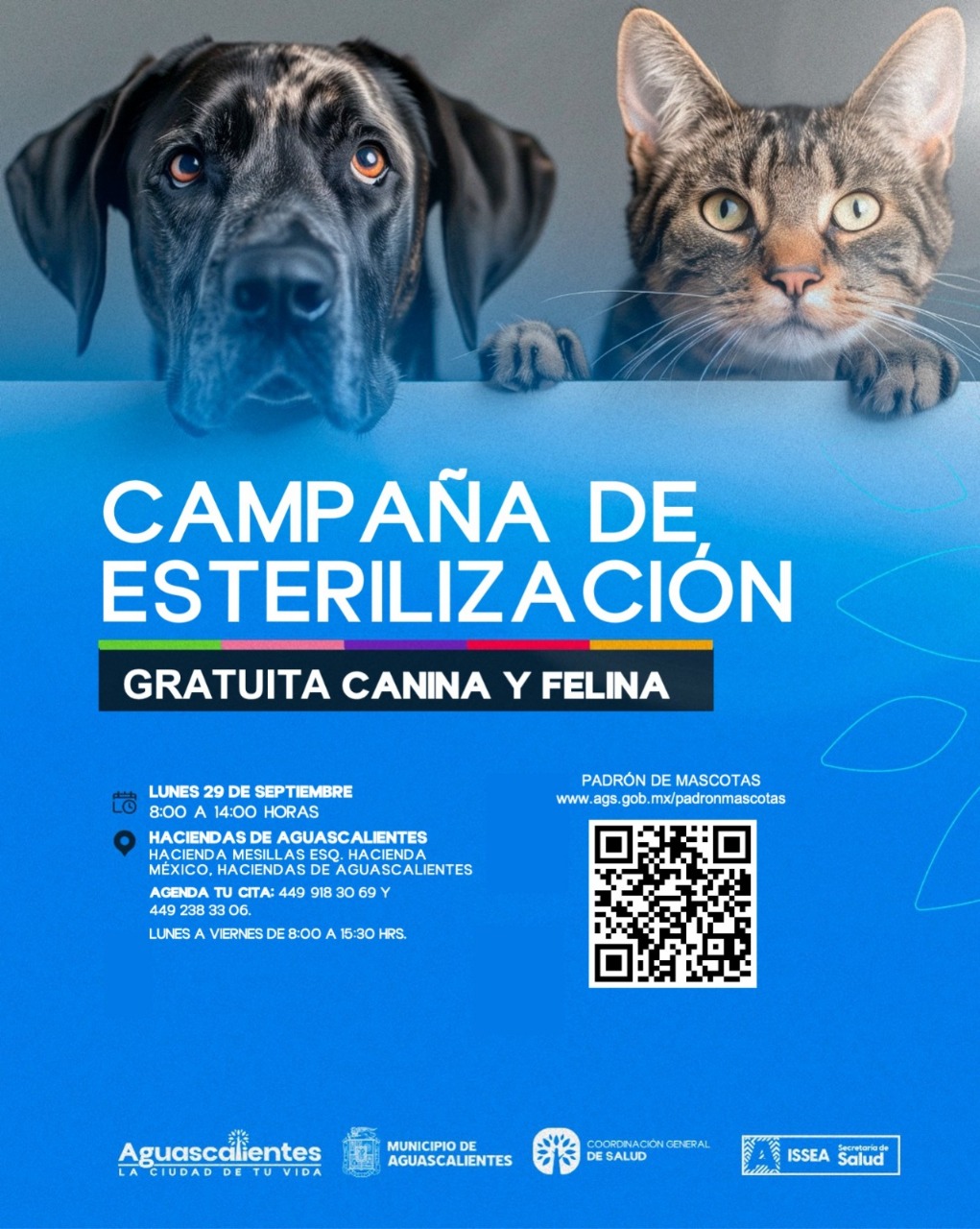 NUEVA JORNADA DE ESTERILIZACIONES DE MASCOTAS EN COORDINACIÓN CON EL ISSEA