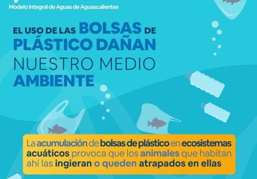 🌍 Como ya sabemos, el plástico contamina el planeta, ya que se acumula en cualquier rincón de este y tarda demasiado tiempo en degradarse, e incluso permanecer por siglos intactos