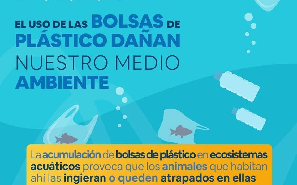 🌍 Como ya sabemos, el plástico contamina el planeta, ya que se acumula en cualquier rincón de este y tarda demasiado tiempo en degradarse, e incluso permanecer por siglos intactos