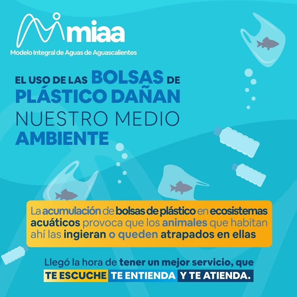 🌍 Como ya sabemos, el plástico contamina el planeta, ya que se acumula en cualquier rincón de este y tarda demasiado tiempo en degradarse, e incluso permanecer por siglos intactos