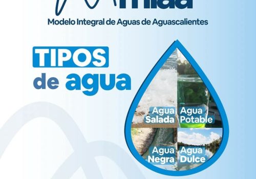 🤔 ¿Sabías qué? Existen distintos tipos de agua según su estado y propiedades💦