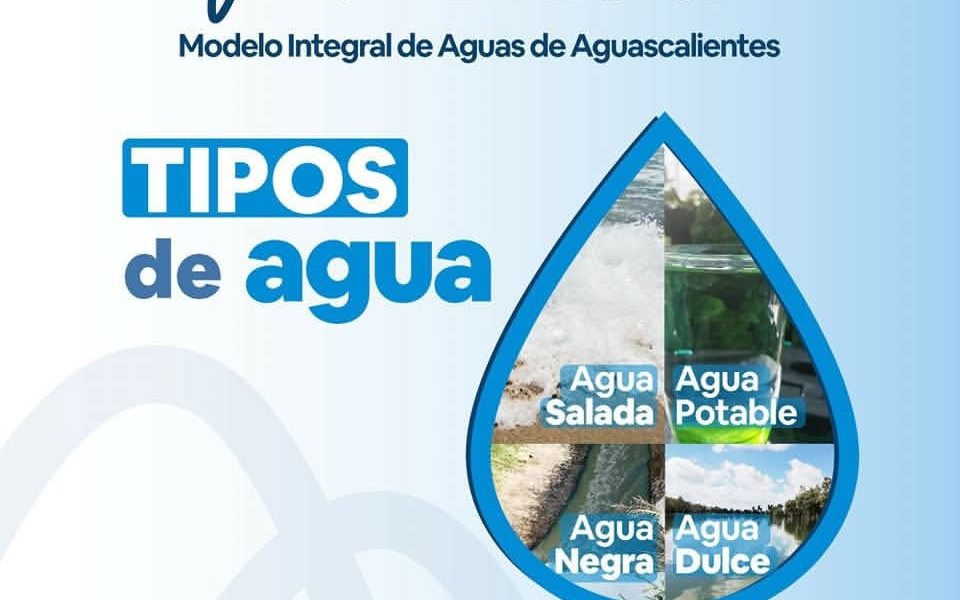 🤔 ¿Sabías qué? Existen distintos tipos de agua según su estado y propiedades💦