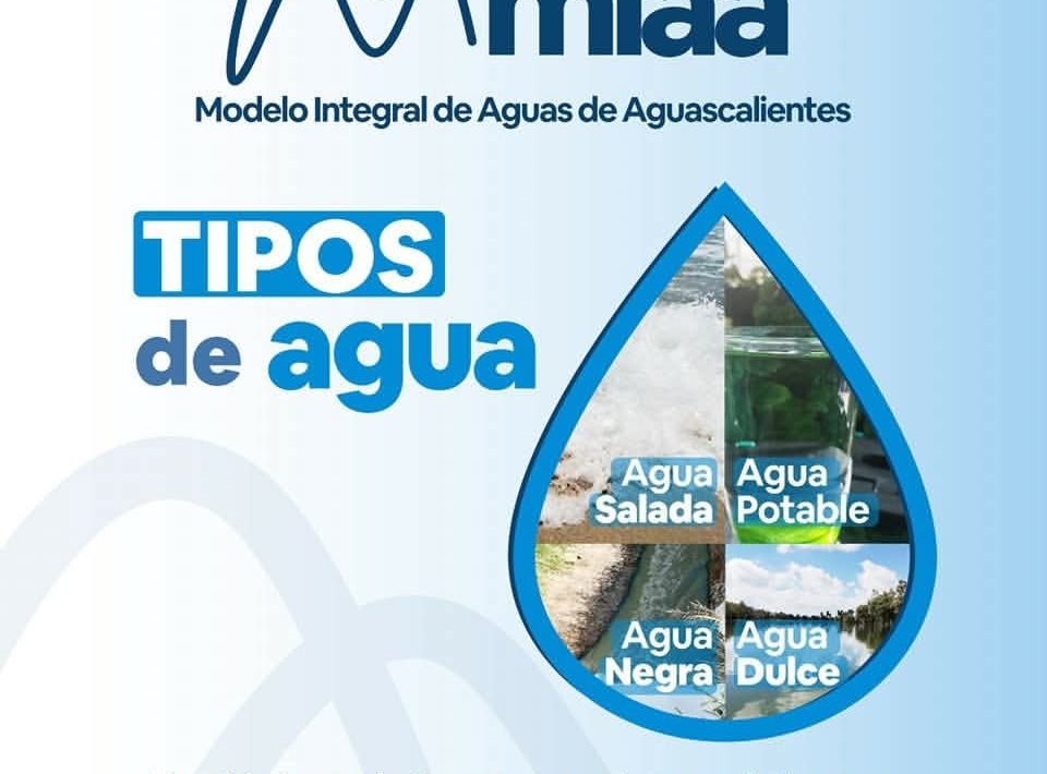 🤔 ¿Sabías qué? Existen distintos tipos de agua según su estado y propiedades💦
