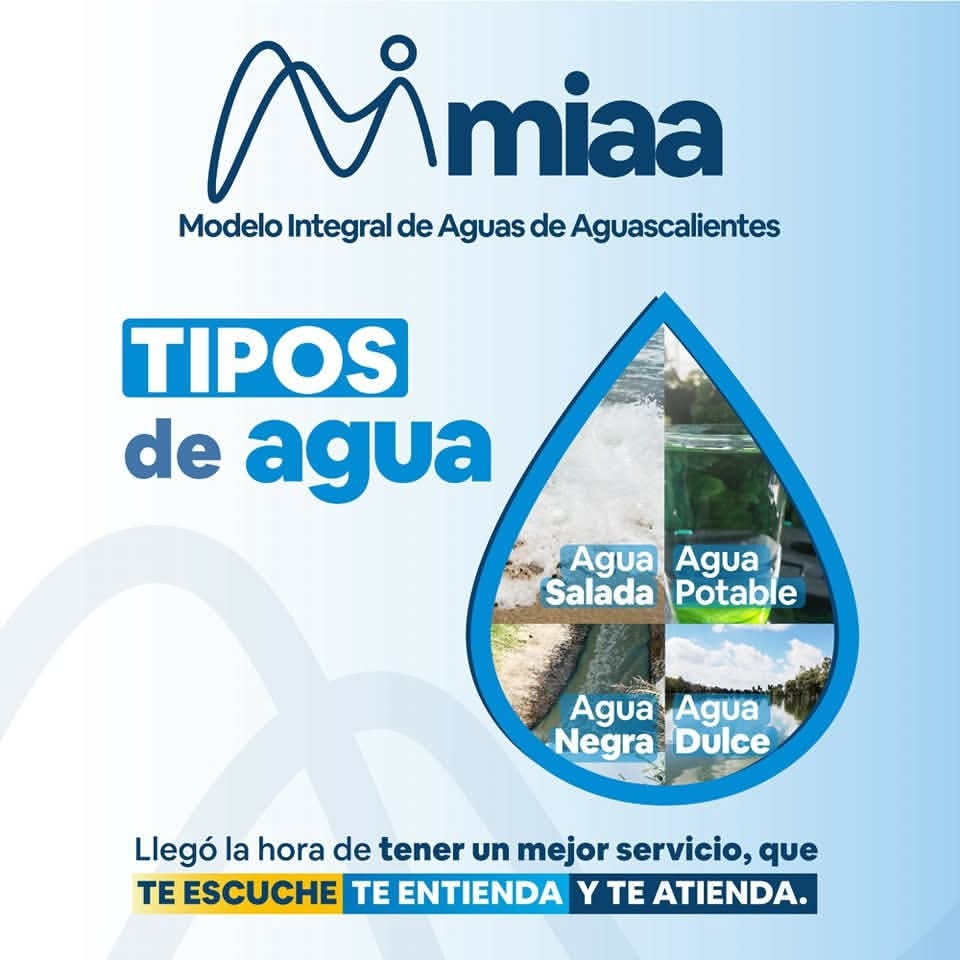 🤔 ¿Sabías qué? Existen distintos tipos de agua según su estado y propiedades💦