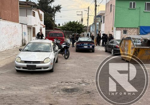 LEVANTÓN EN LAS VIÑAS